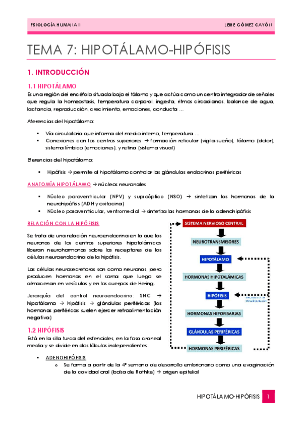 Miniatura del documento 07HIPOTALAMOHIPOFISIS.pdf
