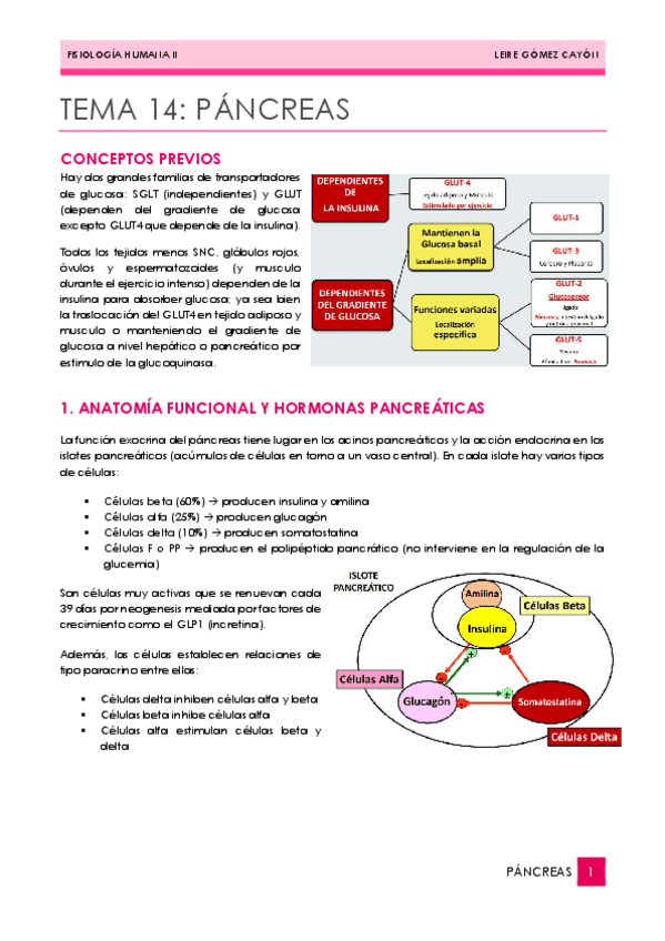 Miniatura del documento 14PANCREAS.pdf