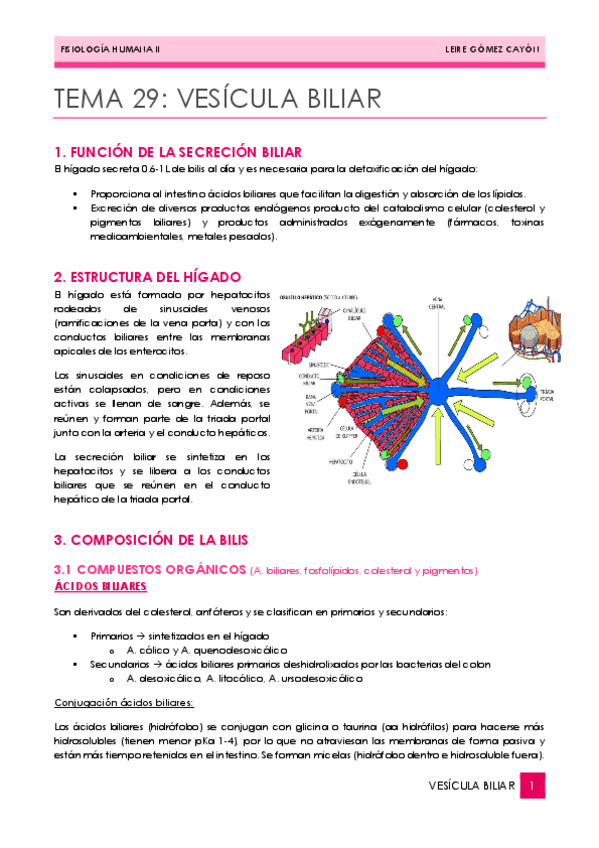 Miniatura del documento 29.-VESICULA-BILIAR.pdf