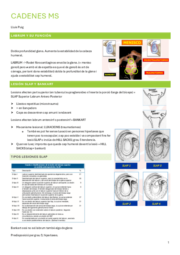 Miniatura del documento lluis-puig-apunts-teorics.pdf