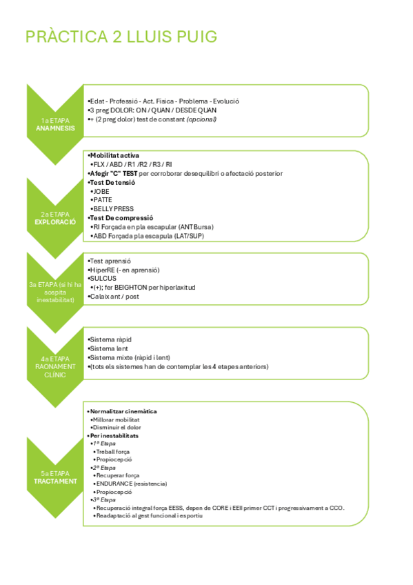 Miniatura del documento PRACTIQUES-LLUIS.pdf