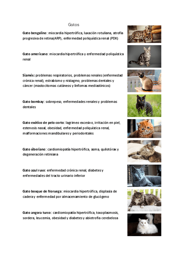 Miniatura del documento Gatos.pdf