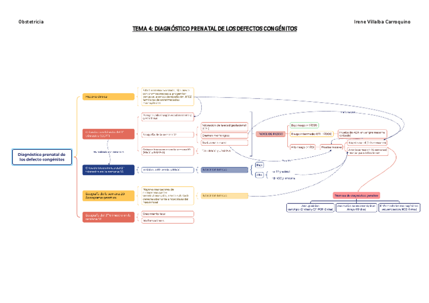 Miniatura del documento PACK-ESQUEMAS-OBSTETRICIA.pdf