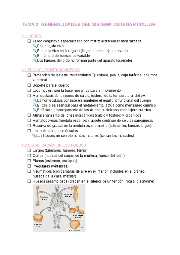 Miniatura del documento TEMA-2-ANATOMIA.pdf