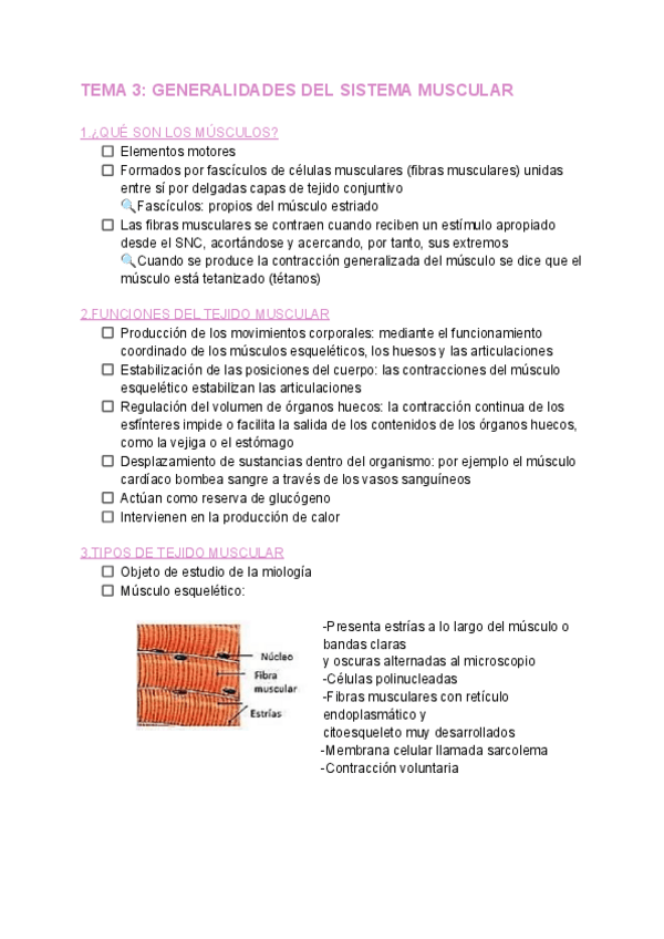 Miniatura del documento TEMA-3-ANATOMIA.pdf