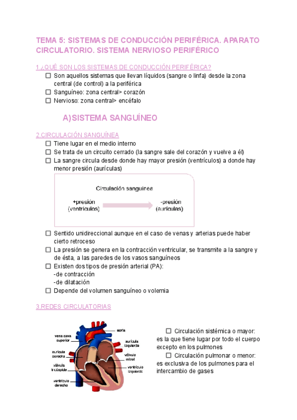 Miniatura del documento TEMA-5-ANATOMIA.pdf
