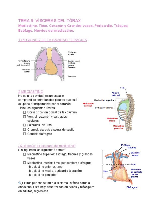 Miniatura del documento TEMA-9-ANATOMIA.pdf