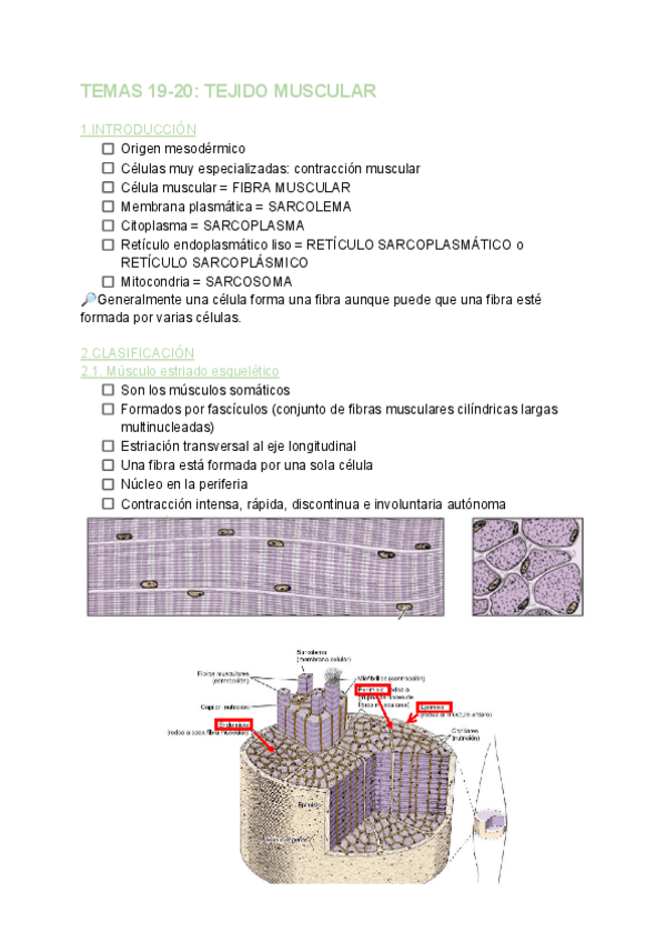 Miniatura del documento TEMA-19-Y-20-BIOLOGIA.pdf