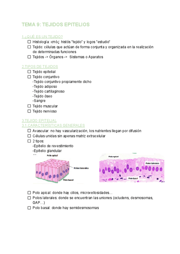 Miniatura del documento TEMA-9-BIOLOGIA.pdf