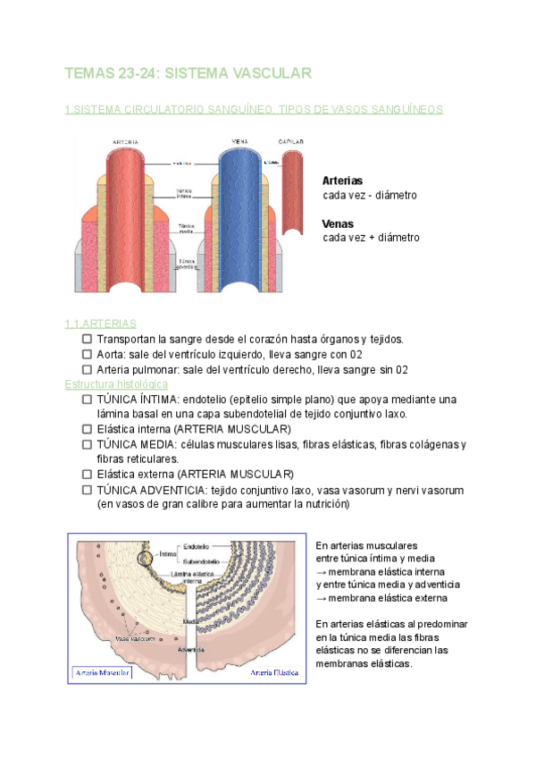 Miniatura del documento TEMAS-23-24-BIOLOGIA.pdf