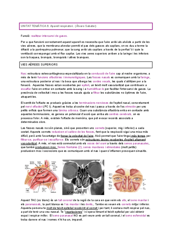 Miniatura del documento RESPIRATORI.pdf
