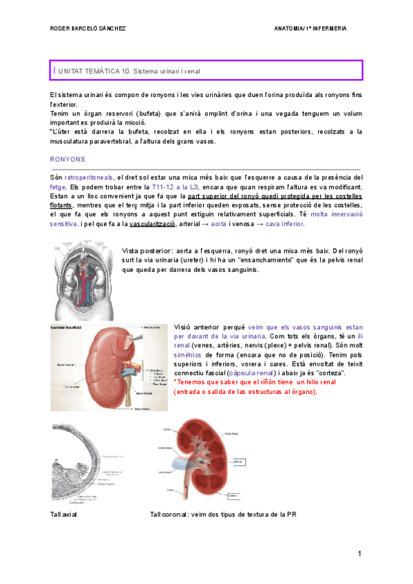 Miniatura del documento RENAL.pdf