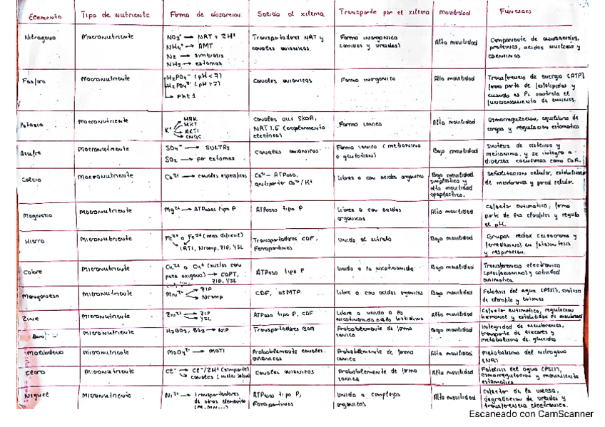 Miniatura del documento Tabla-Nutrientes-fisio-veg.pdf