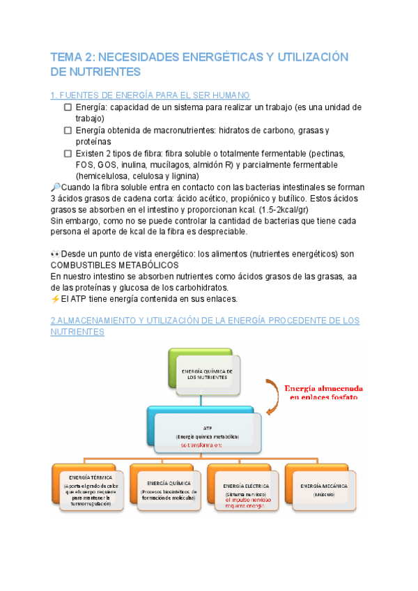 Miniatura del documento TEMA-2-NUTRICION.pdf