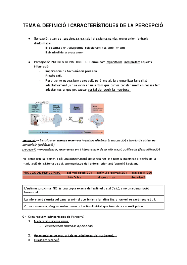 Miniatura del documento Percepcio-final-gener.pdf