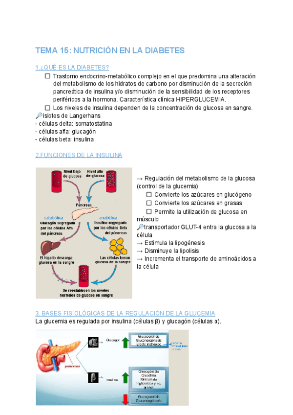 Miniatura del documento TEMA-15-NUTRICION-EN-LA-DIABETES-MELLITUS.pdf