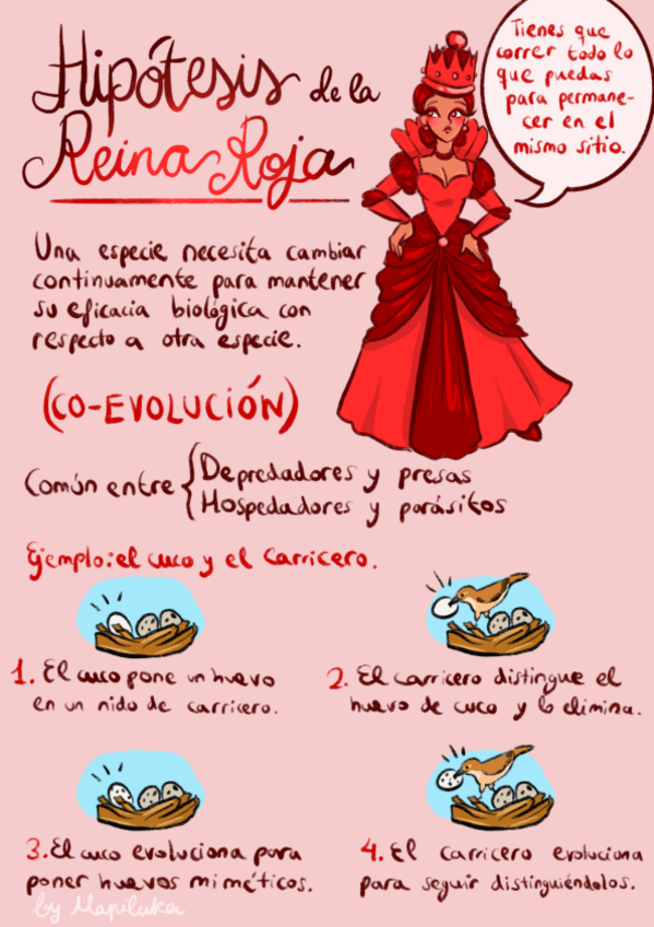 Miniatura del documento Poster-Hipotesis-de-la-Reina-Roja.pdf