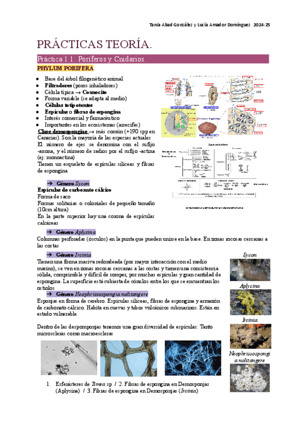 Miniatura del documento Practicas-zoo1.pdf