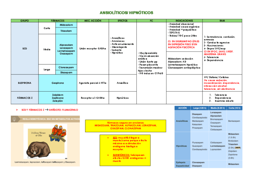 Miniatura del documento SNC.pdf