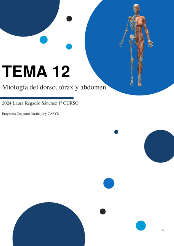 Miniatura del documento TEMA-12-ANATO.pdf