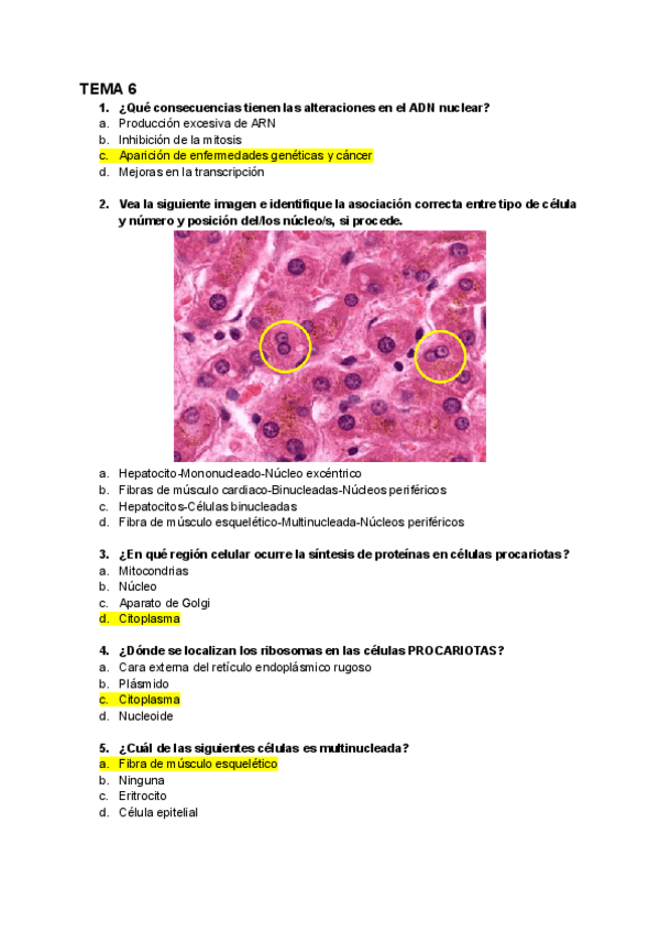 Miniatura del documento autoevaluaciones-bio.pdf