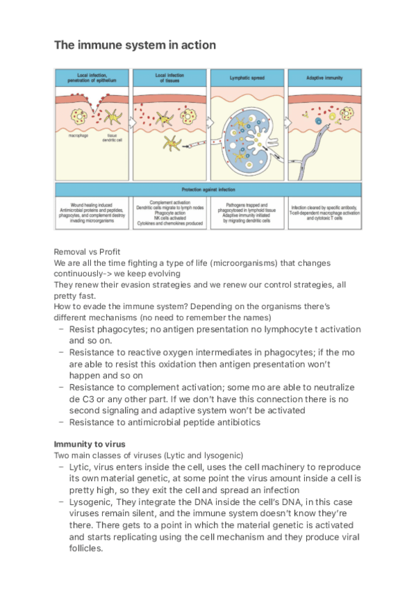 Miniatura del documento The-immune-system-in-action.pdf