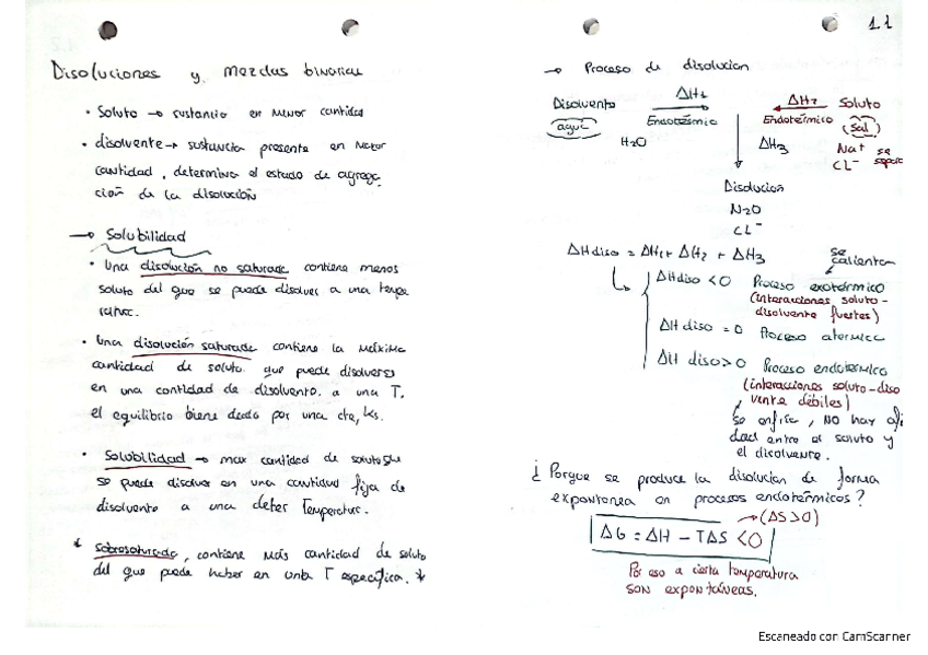Miniatura del documento Resumen-disoluciones-con-formulas.pdf