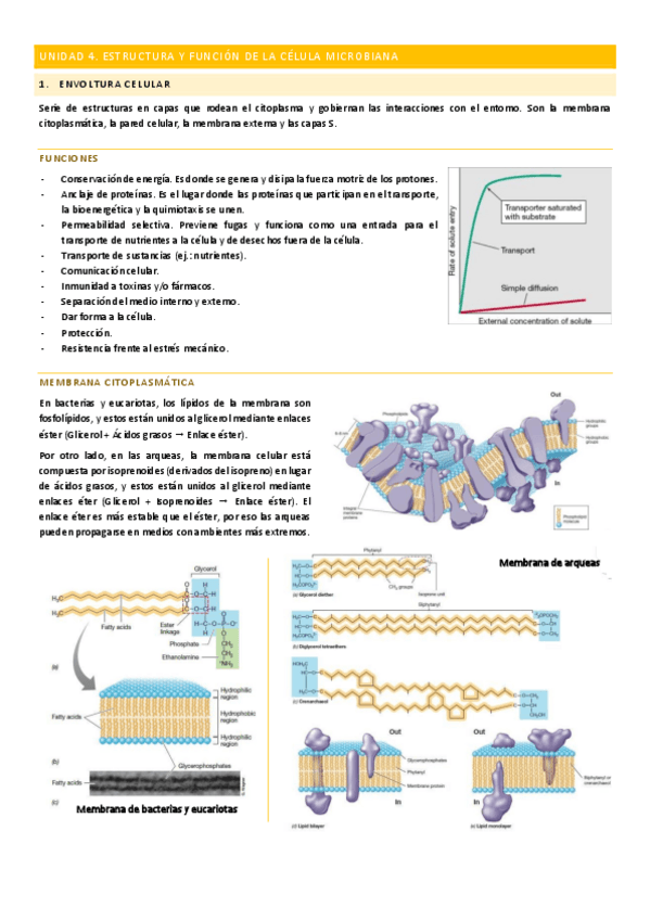 Miniatura del documento Unidad-4.pdf