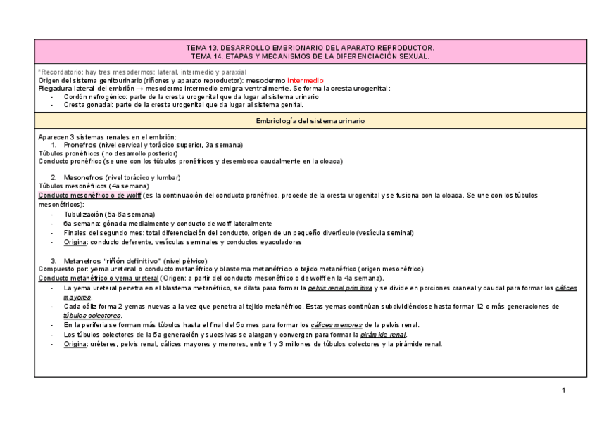 Miniatura del documento TEMA-13-Y-14-REPRODUCTOR.pdf