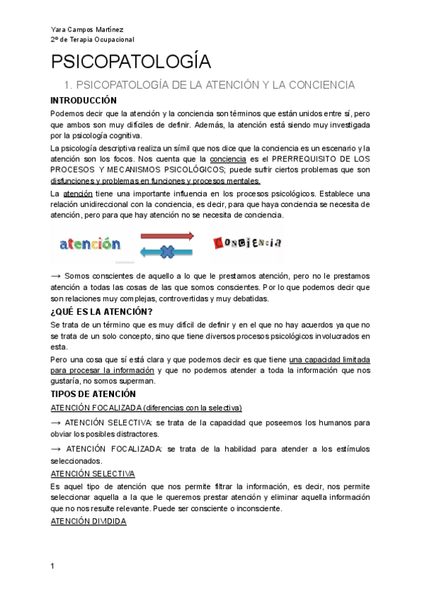 Miniatura del documento PSICOPATOLOGIA.pdf