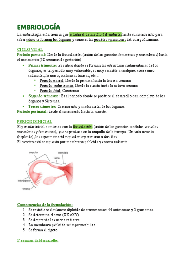 Miniatura del documento 1.-Embriologia.pdf