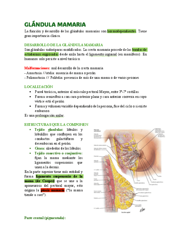 Miniatura del documento 8.-Glandula-mamaria.pdf