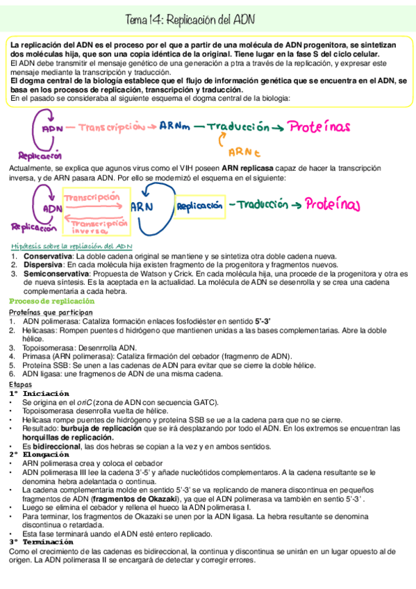 Miniatura del documento Tema-14Replicacion-del-ADN.pdf