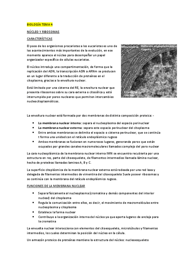 Miniatura del documento BIOLOGIA-TEMA-4.pdf