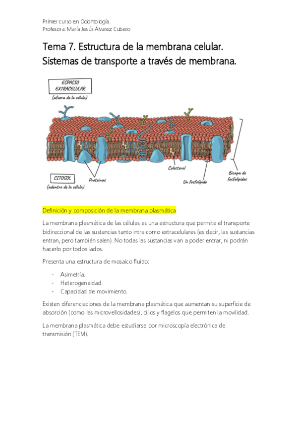 Miniatura del documento Bioquímica 7. Membrana Plasmática.pdf