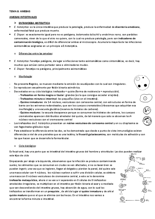Miniatura del documento TEMA-8.-AMEBAS.pdf