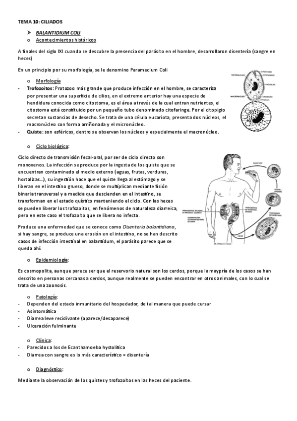 Miniatura del documento TEMA-10.-CILIADOS.pdf