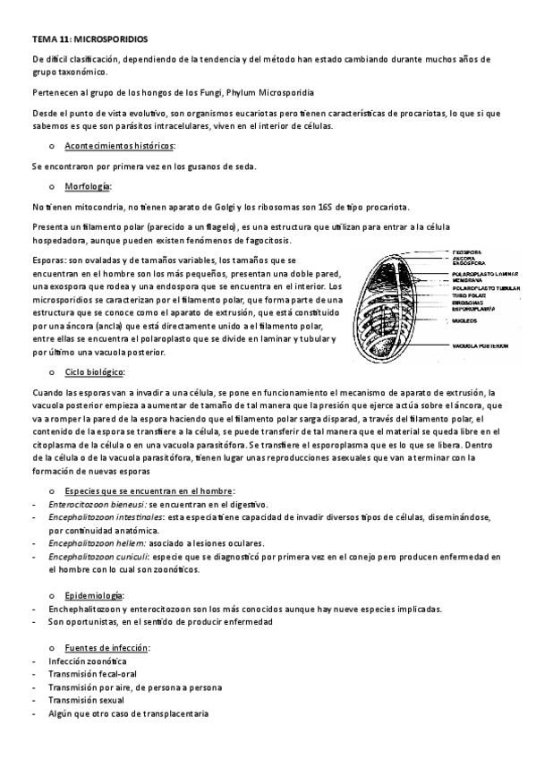 Miniatura del documento TEMA-11.-MICROSPORIDIOS.pdf