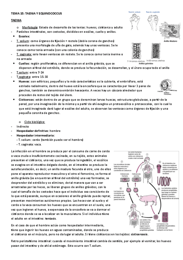 Miniatura del documento TEMA-15.-TAENIA-Y-EQUINOCOCCUS.pdf