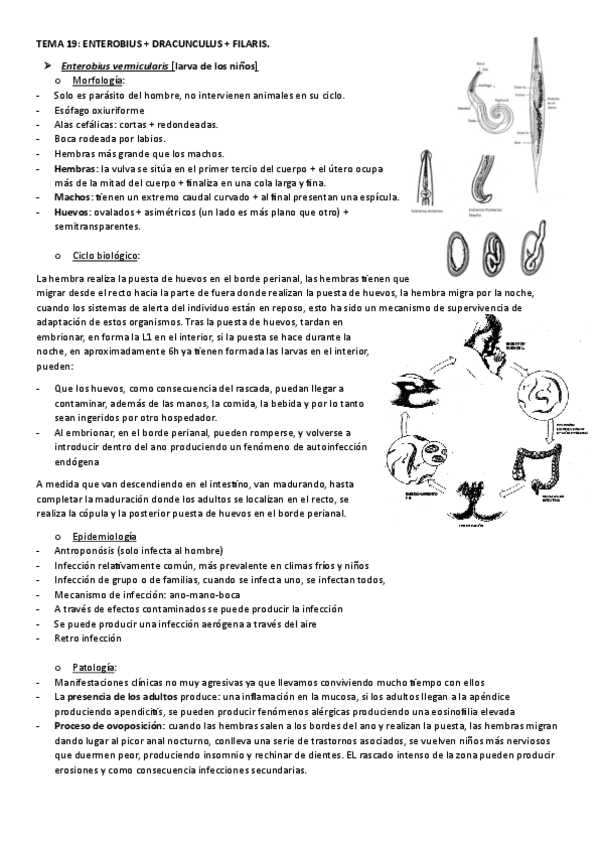 Miniatura del documento TEMA-19.-ENTEROBIUS--DRACUNCULUS--FILARIS..pdf