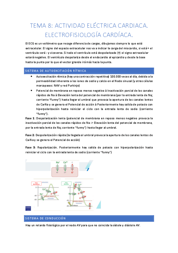 Miniatura del documento TEMA-8.pdf