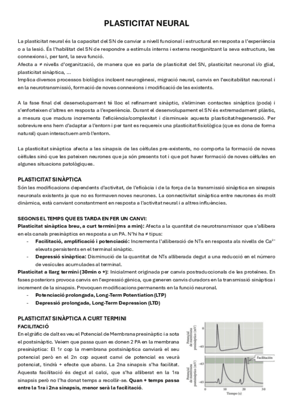 Miniatura del documento 17.-Plasticitat-Neural.pdf
