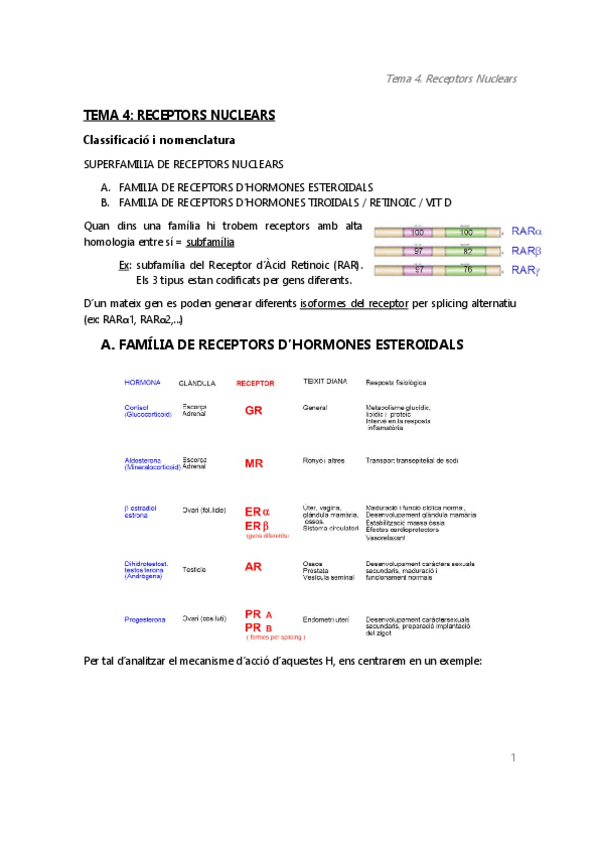 Miniatura del documento ENDO.pdf