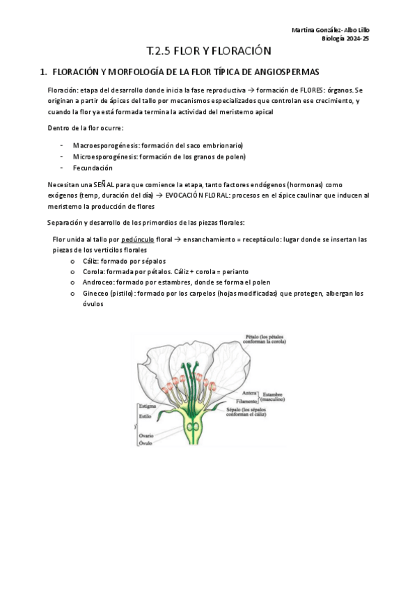 Miniatura del documento T.2.5-Flor..pdf