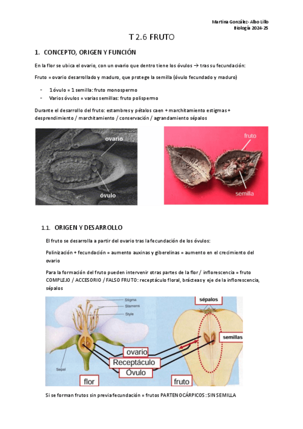 Miniatura del documento T.2.6-Fruto..pdf