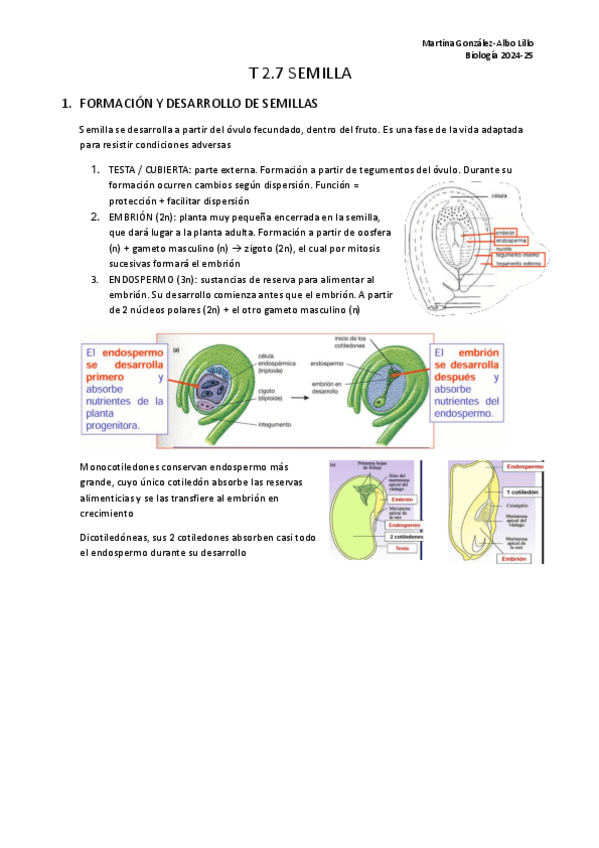 Miniatura del documento T.2.7-Semilla..pdf
