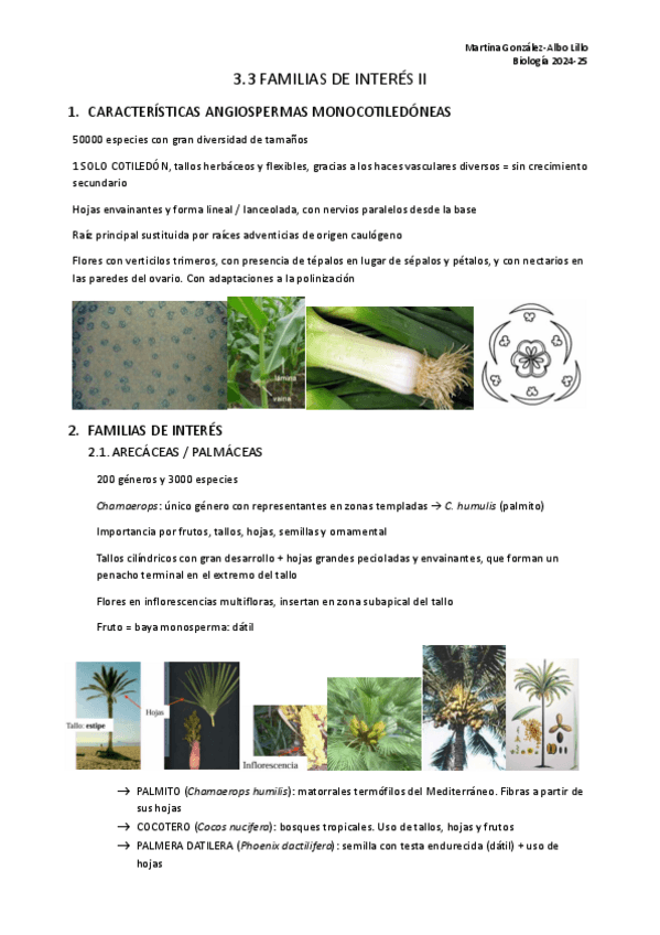 Miniatura del documento T.3.3-Especies-de-interes-CyTA-II..pdf