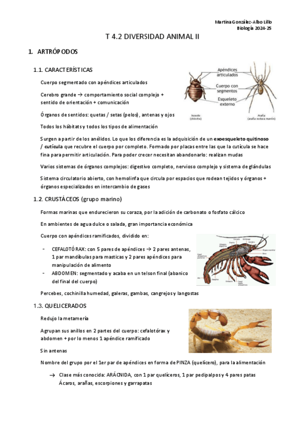 Miniatura del documento T.4.2-Diversidad-animal-II..pdf