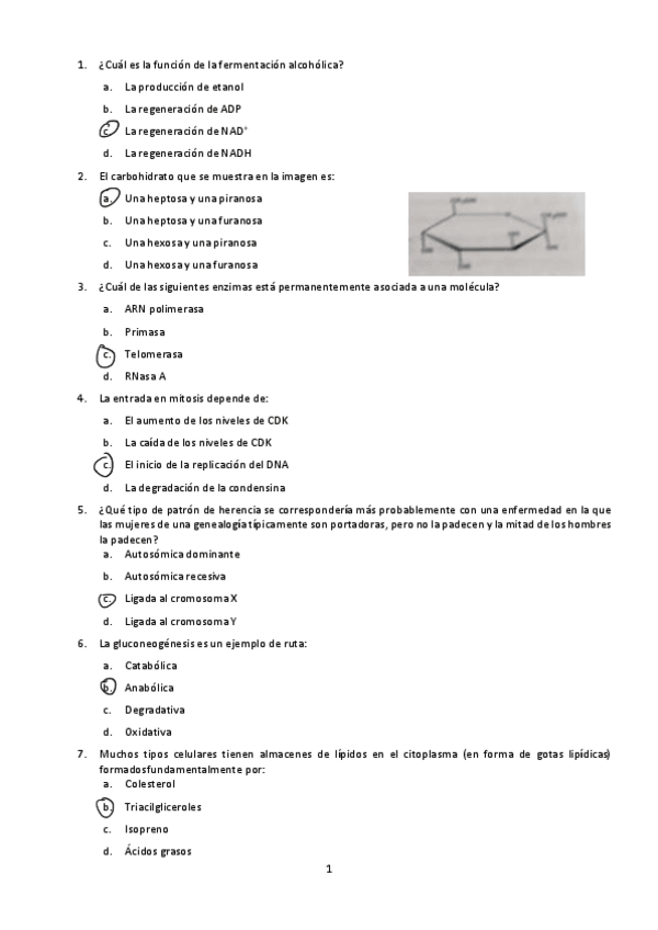 Miniatura del documento Examen-biologia-2024--preguntas-de-examenes.pdf
