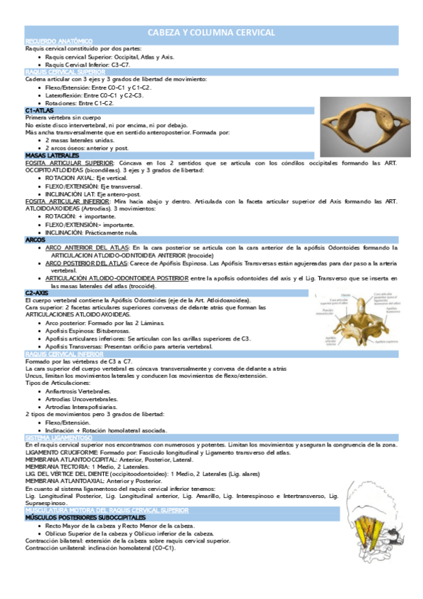Miniatura del documento CABEZA-Y-COLUMNA-CERVICAL.pdf